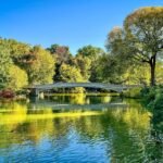 Upper West Side A serene lake with a white arched bridge and lush trees reflecting in the clear blue water.