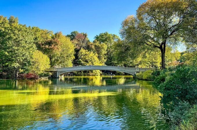 A serene lake with a white arched bridge and lush trees reflecting in the clear blue water.