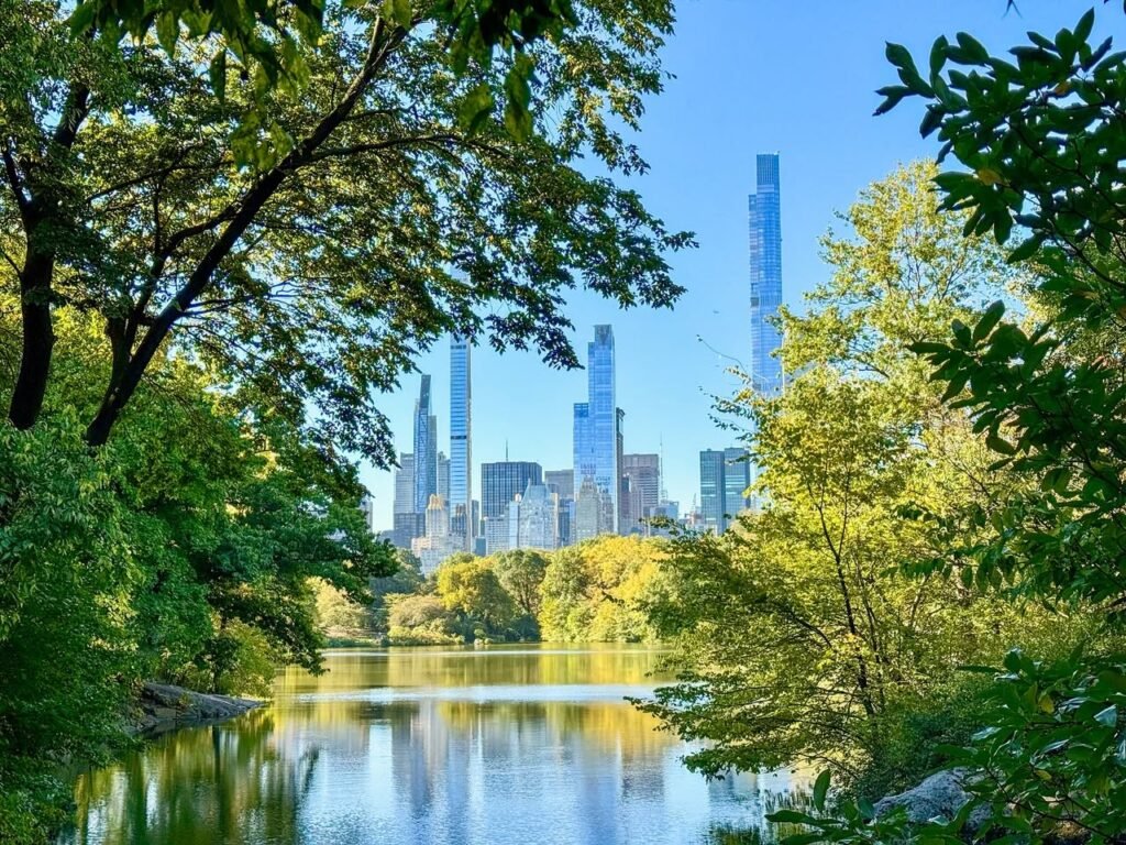 A panoramic view of Central Park looking toward the Manhattan skyline on a clear day.