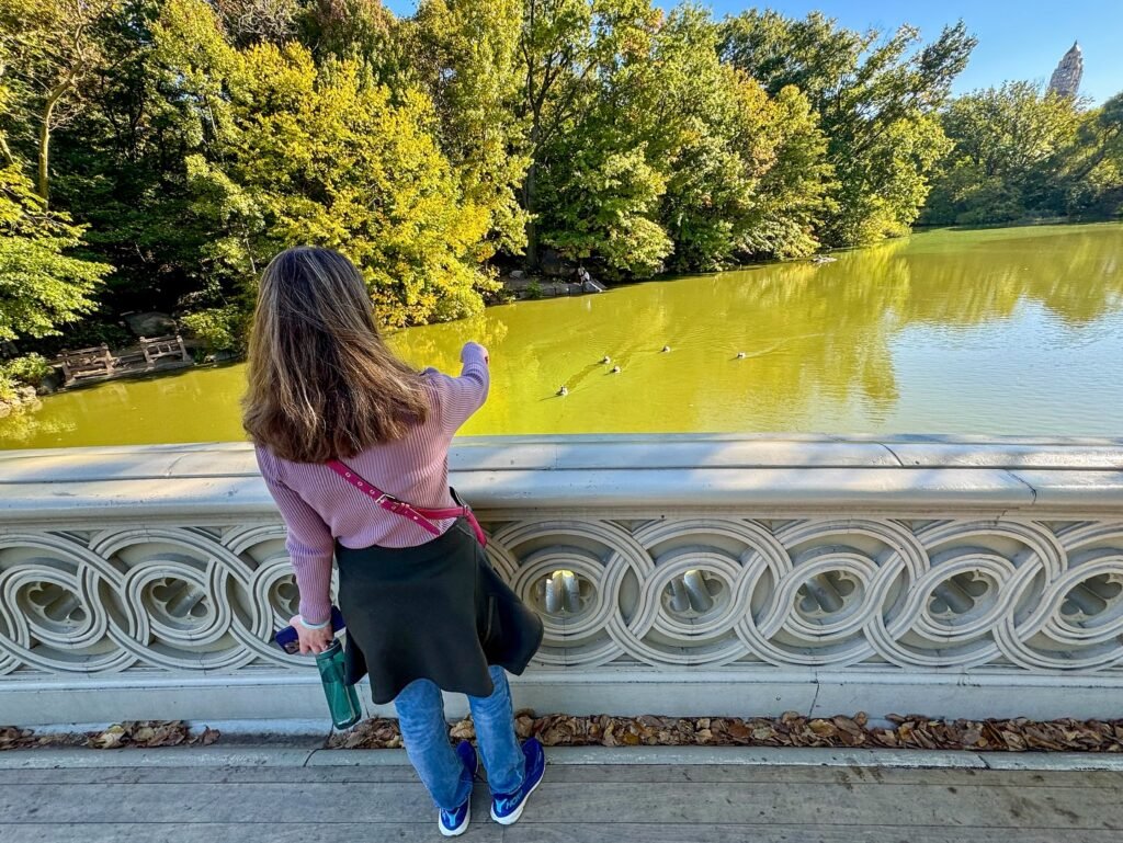 A visitor looks out over the algae-covered water at The Boston Public Garden. A spire is visible in the distance among the lush trees.
