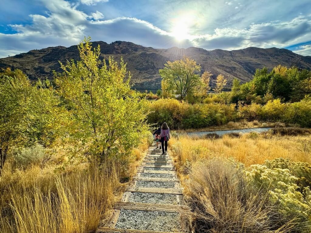 A hiker walks on a gravel path through golden wetlands in front of mountains.