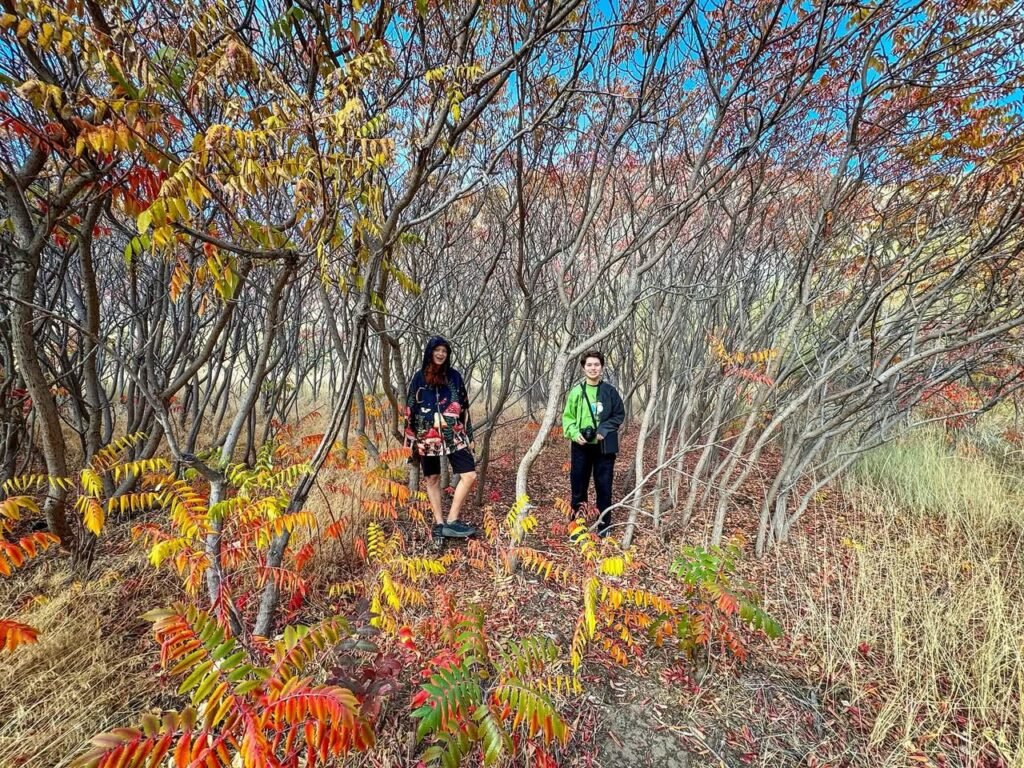 A person in a green vest and another individual enjoying a fall walk through a colorful forest. Rich red, orange, and yellow leaves fill the scene.