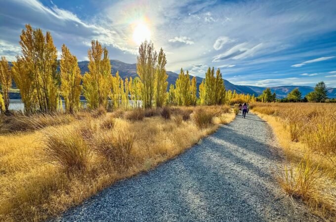 A scenic gravel path lined with vibrant yellow trees under a bright blue sky.