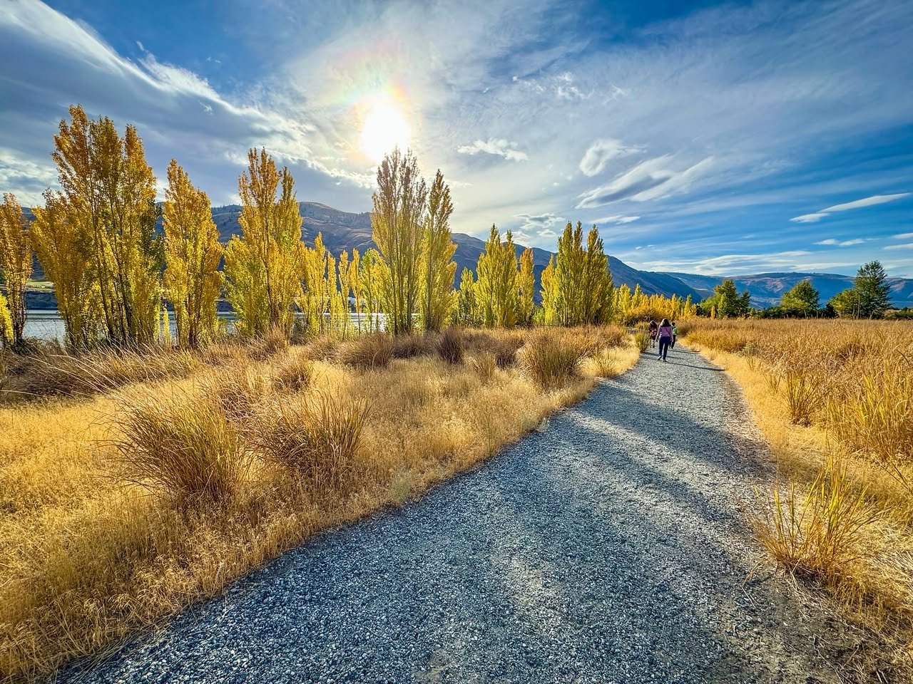 Beebe Springs Nature Area A scenic gravel path lined with vibrant yellow trees under a bright blue sky.