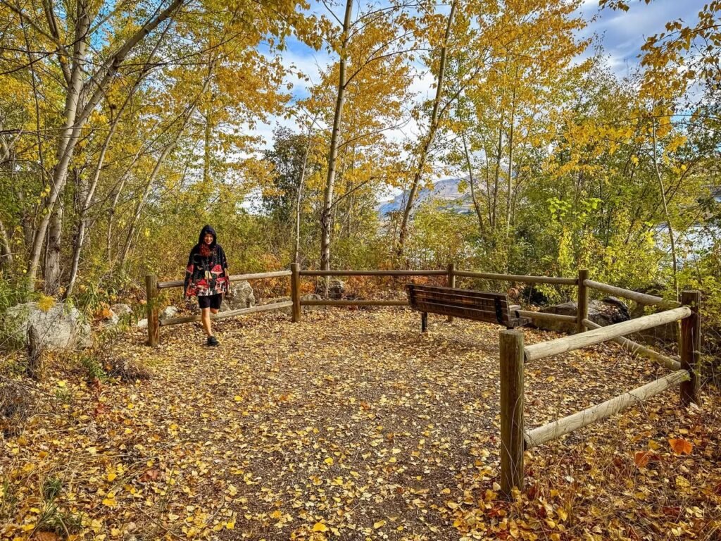 A woman walks along a path covered in fallen yellow leaves, next to a wooden bench and fence in a serene autumn landscape. Tall trees with vibrant fall foliage surround the scene under a clear blue sky.
