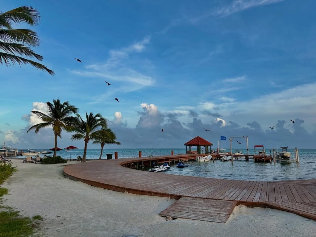 A wooden pier extending into turquoise water lined with palm trees under a bright blue sky.