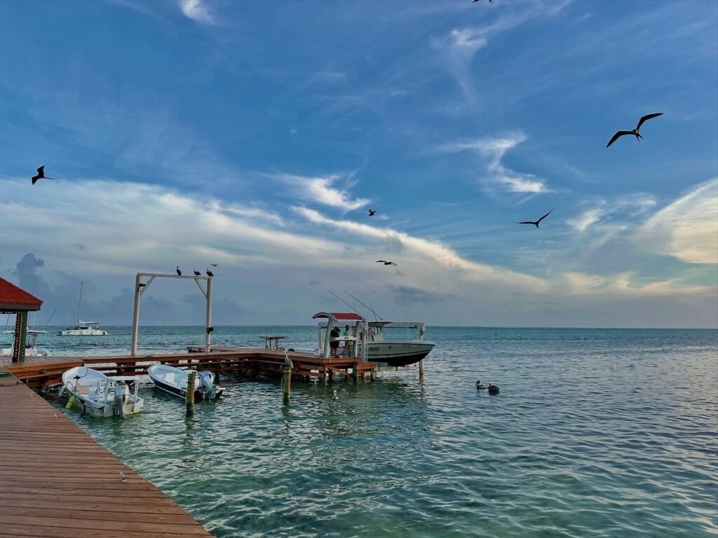 Seabirds soaring over the waters at the Maldives