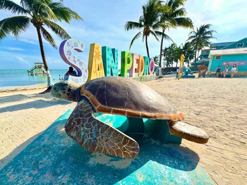 A detailed sea turtle sculpture on a blue platform with colorful San Pedro letters in the background.