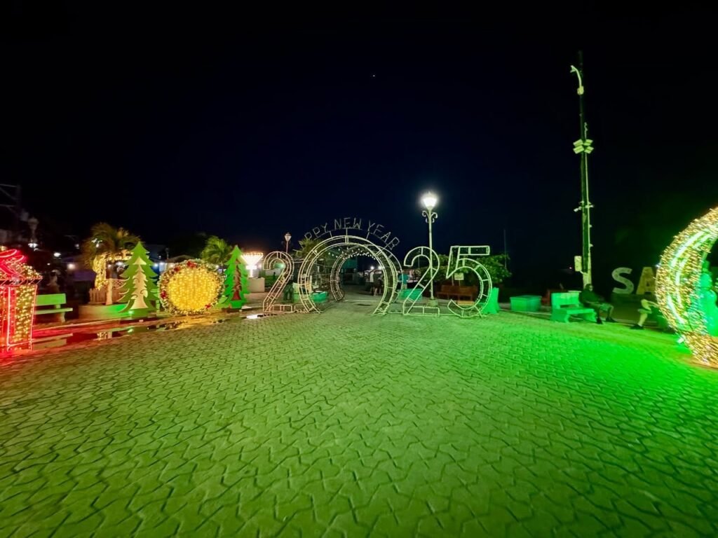 A nighttime public square illumination with a grand New Year archway and light sculpture. A textured green field with decorative plants is visible under the night sky.