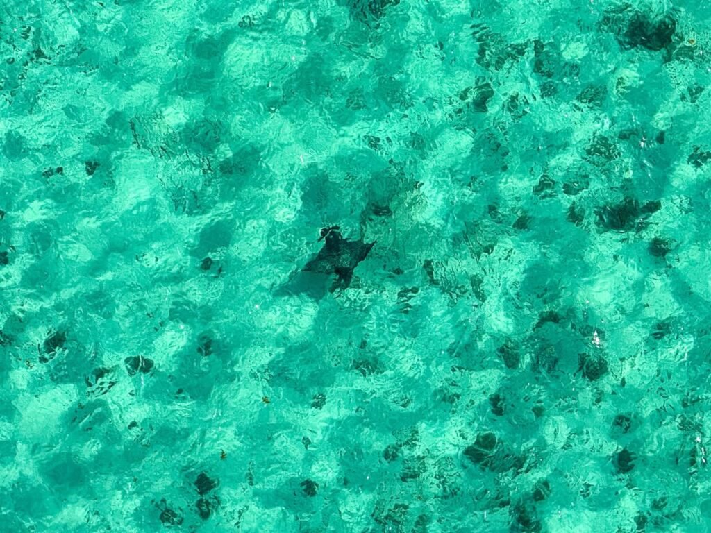 Aerial view of clear turquoise ocean water with visible rocky bottom.