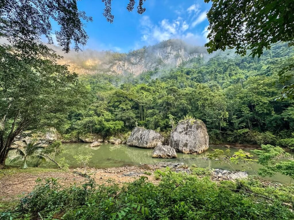 A dense green forest surrounds a small pool with a rocky cliff face under a blue sky.