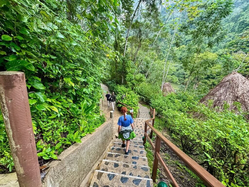 Stone staircase with wooden rails winding through dense green jungle foliage with hikers walking downward.