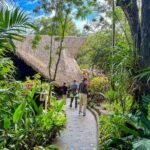 A stone path winds through a lush, green tropical garden toward a traditional thatched-roof building. Visitors stroll along the walkway amidst dense foliage and palm trees.
