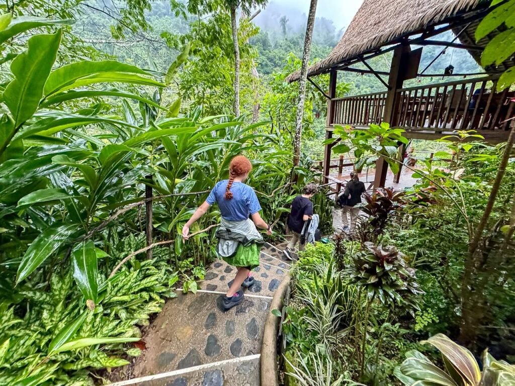 A hiker walks a stone path through a lush jungle toward a thatched-roof viewing platform.