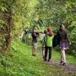 A group of hikers walks along a dirt path through a lush forest, taking in the greenery.