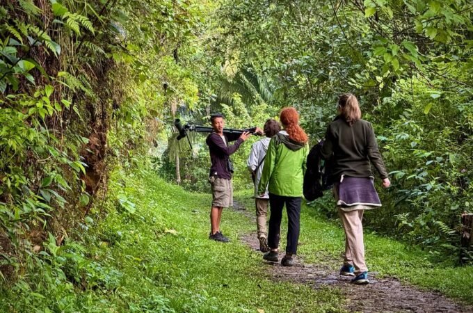 A group of hikers walks along a dirt path through a lush forest, taking in the greenery.