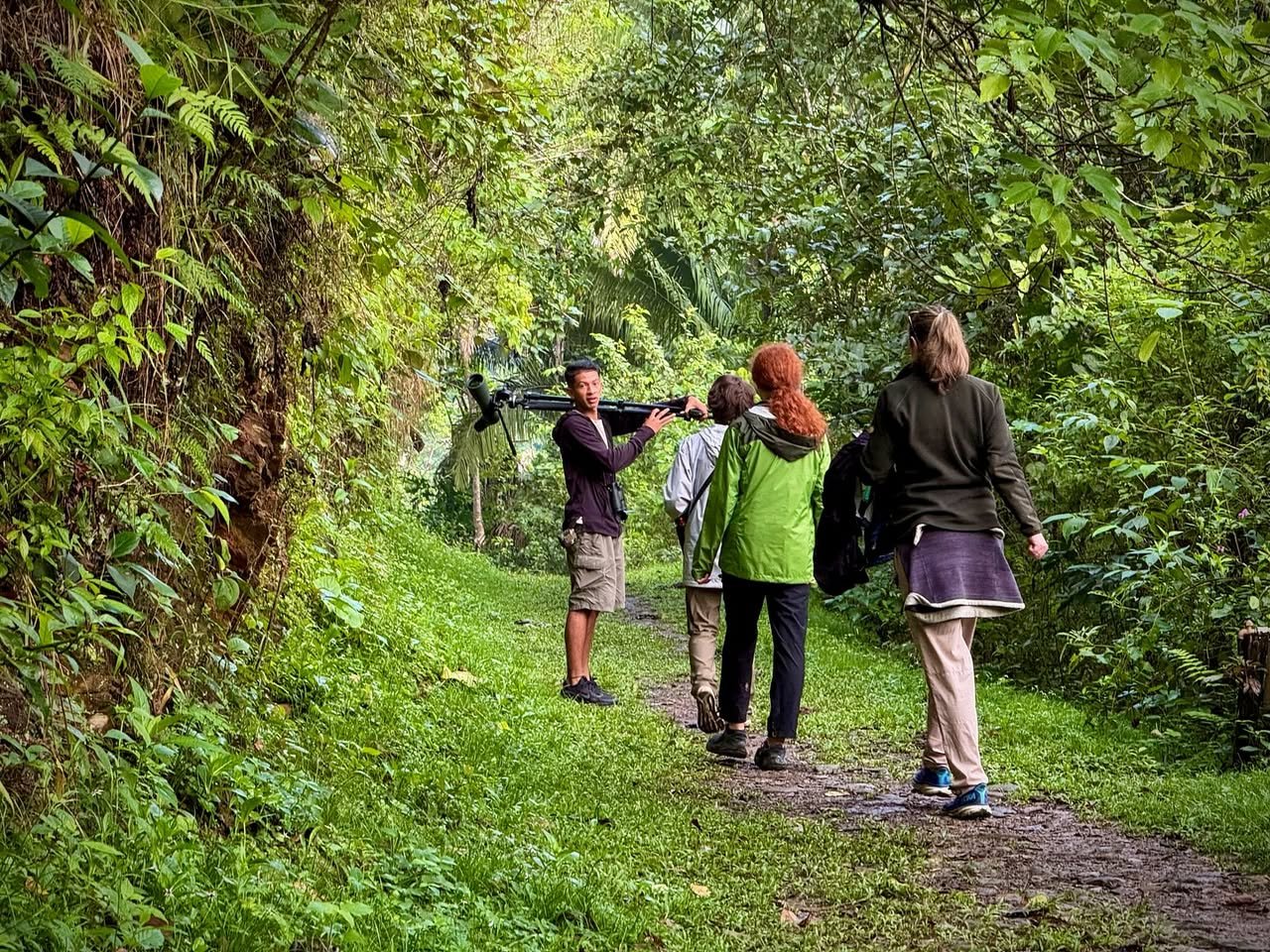 A group of hikers walks along a dirt path through a lush forest, taking in the greenery.