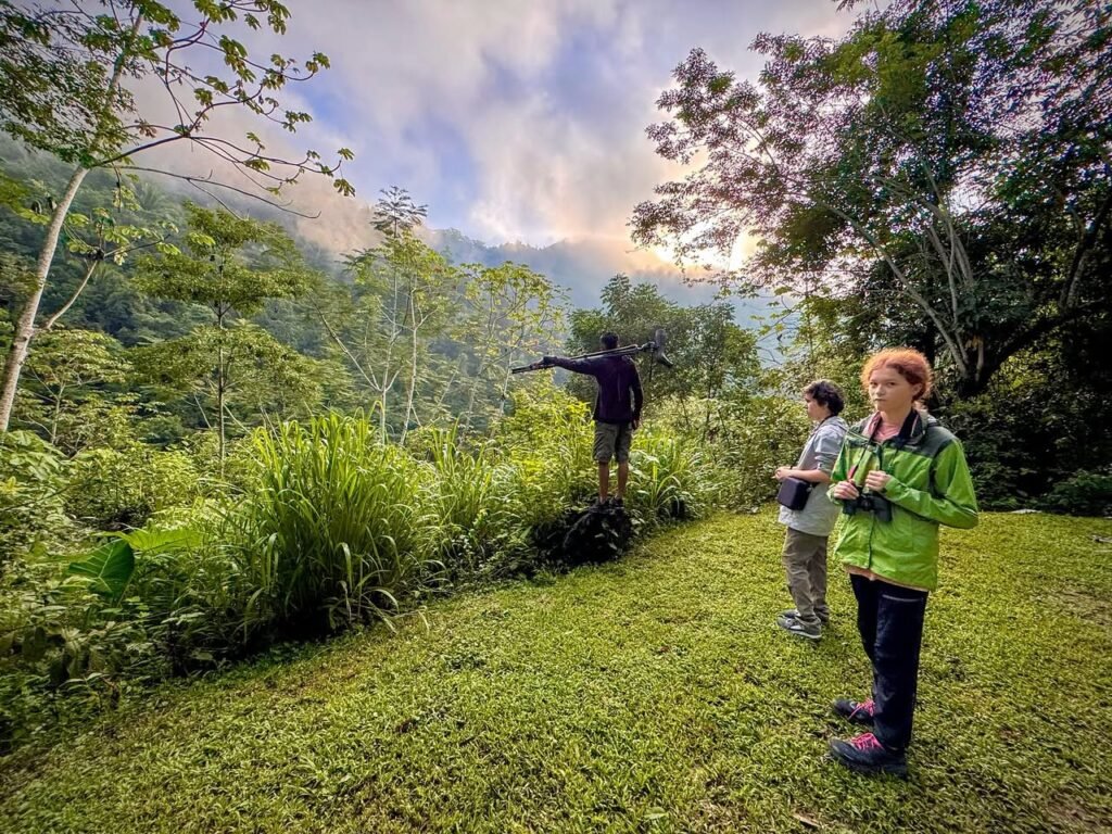 A group of hikers on a grassy trail in a tropical forest, with a guide pointing toward rainbows in the sky between mountains.