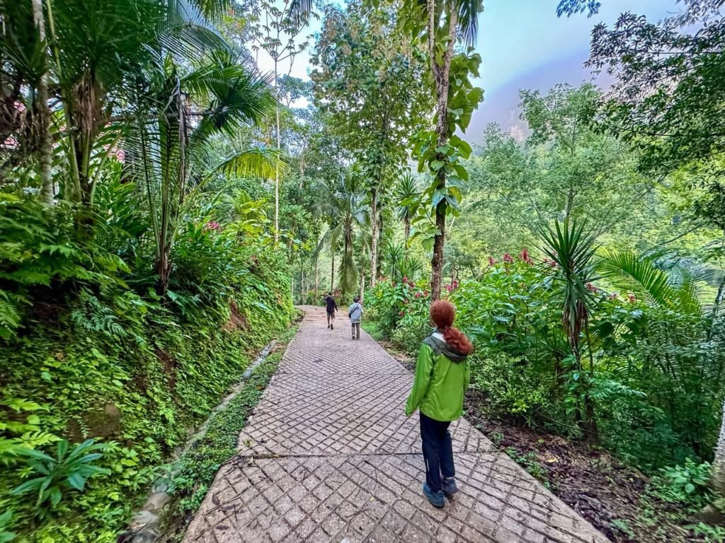 A person explores a brick pathway winding through a vibrant, tropical jungle landscape.