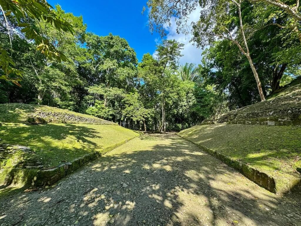 A long gravel path lined with mossy stone terraces cutting through dense tropical foliage under a bright blue sky.