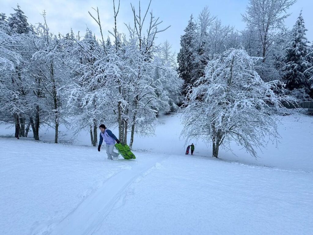A snowy landscape with trees covered in snow and two individuals playing together.
