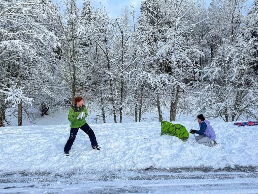 People playing in a snowy field with evergreen trees covered in snow. A person in a green jacket stands near a snow-covered area.