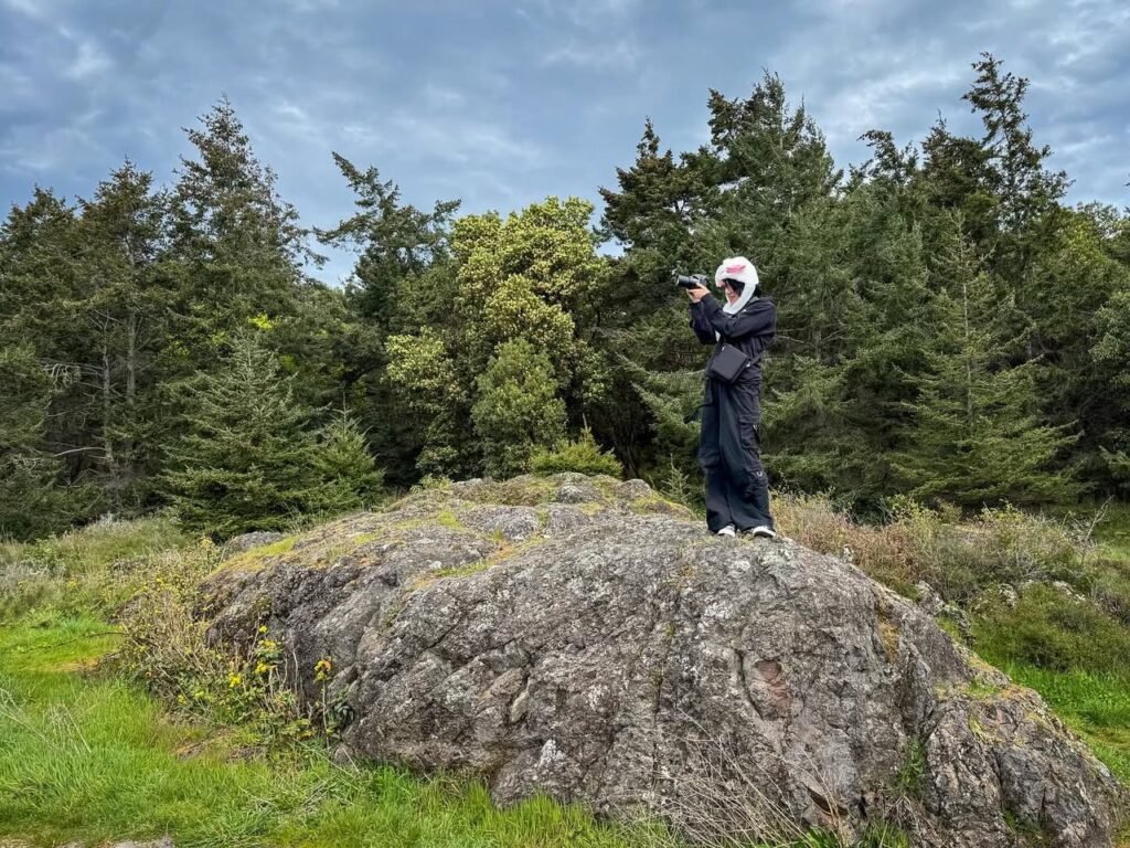 A person stands on a large rock capturing the view. Lush coniferous trees and blue sky fill the background.