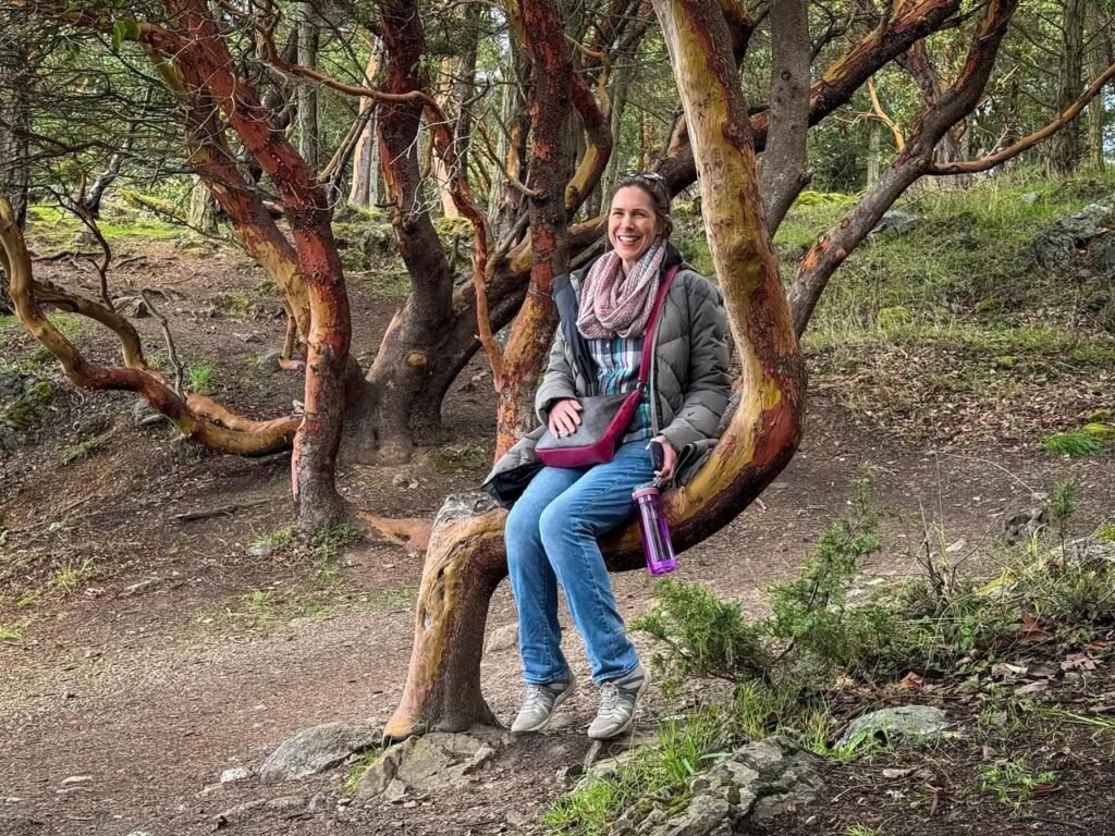 A person sits on a natural wooden bench derived from tree branches in a dense forest. The surrounding trees feature smooth, reddish-brown bark.