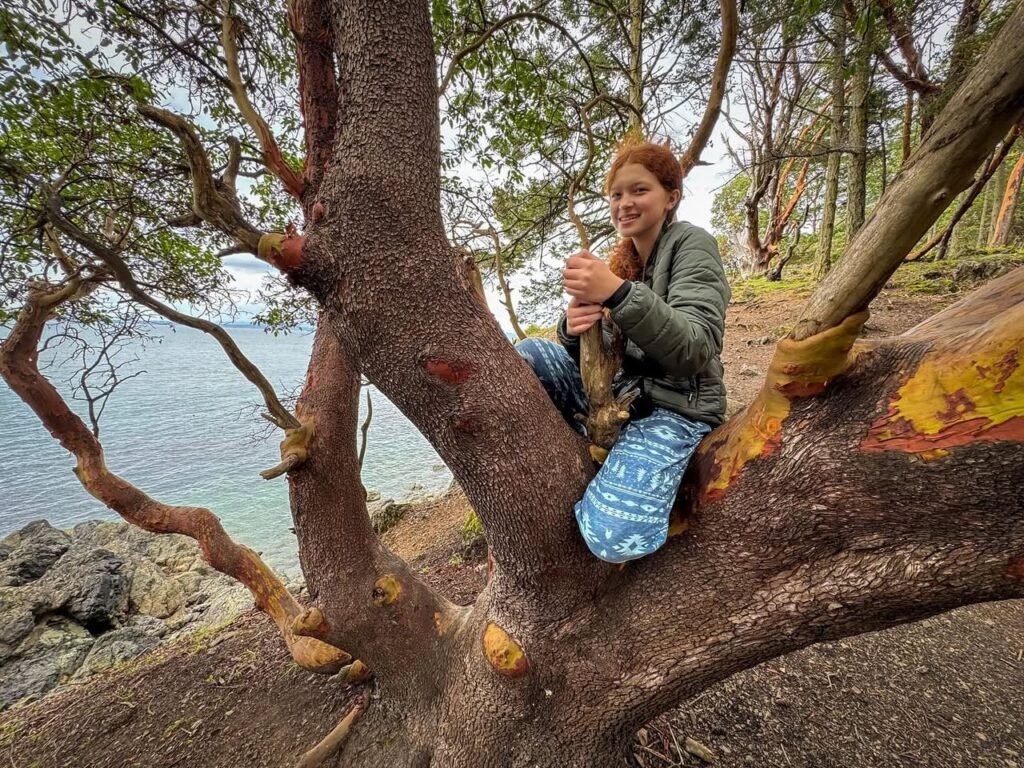 A traveler perches among the branches of a tree overlooking a rocky coastal shoreline.