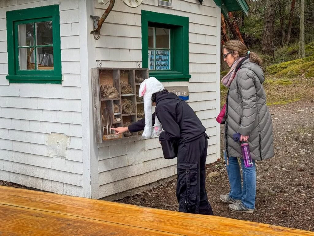 Visitors browsing items at a small white building with green window frames in a forested area.