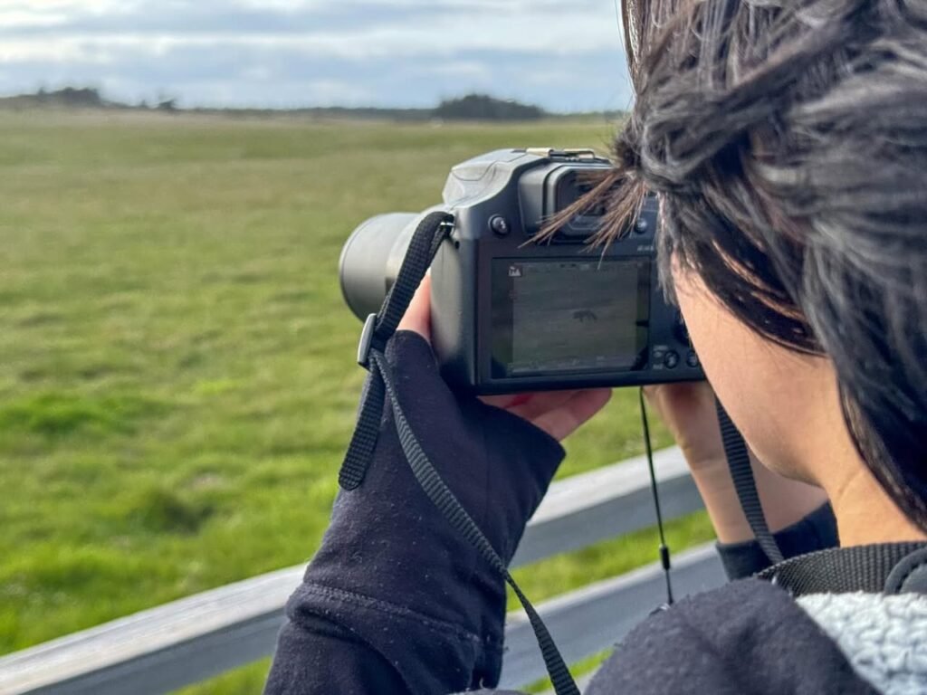 A person uses a telephoto camera to capture the expansive green grasslands beyond a roadside guardrail.