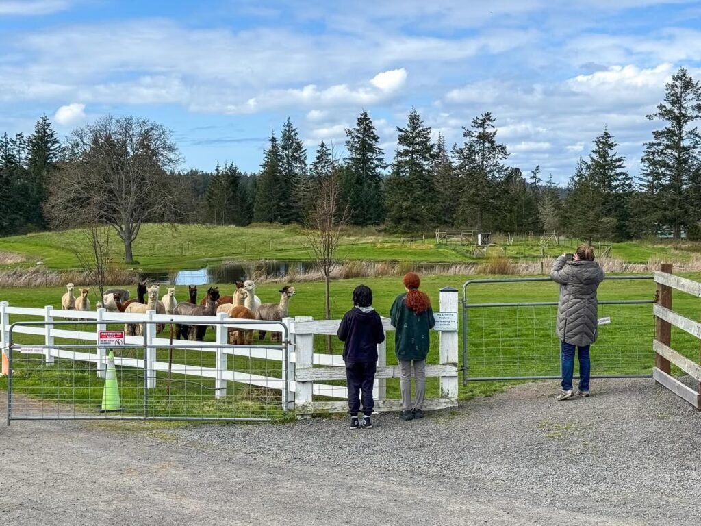 Visitors at a farm's white fence gate with goats inside, set against a backdrop of green fields and evergreen trees.