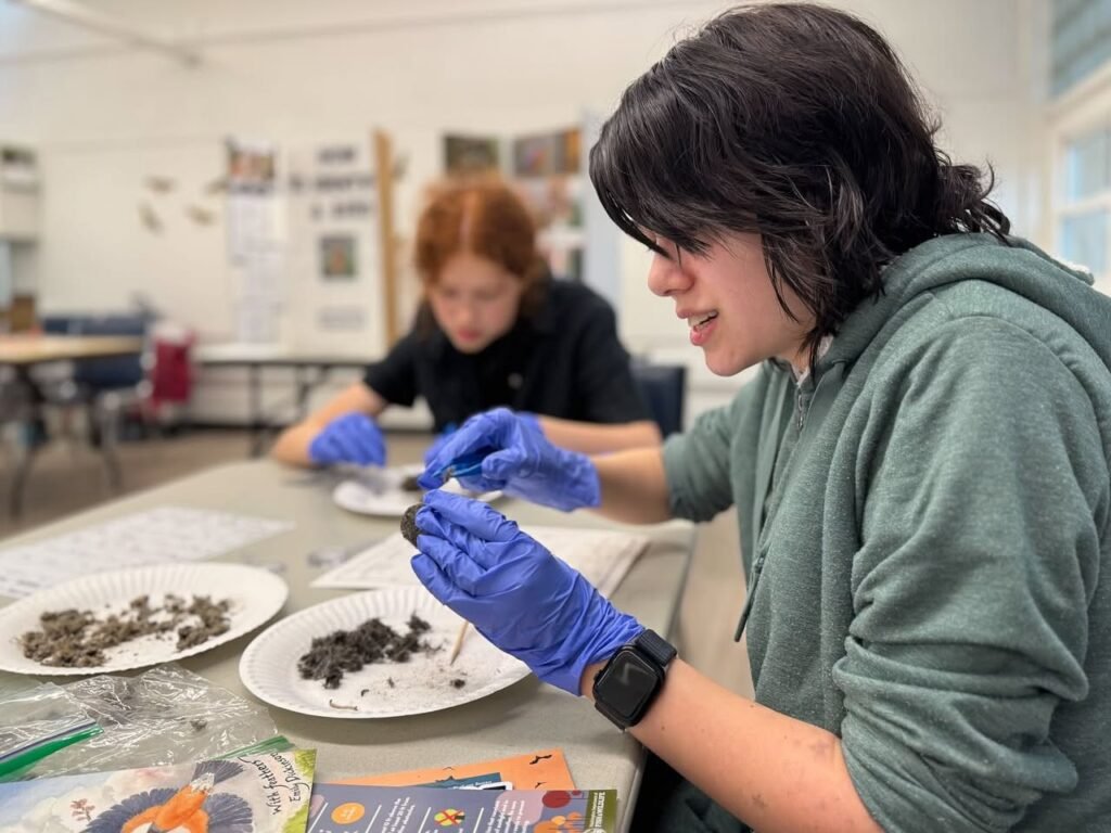 Community Workshop with Blue Gloves