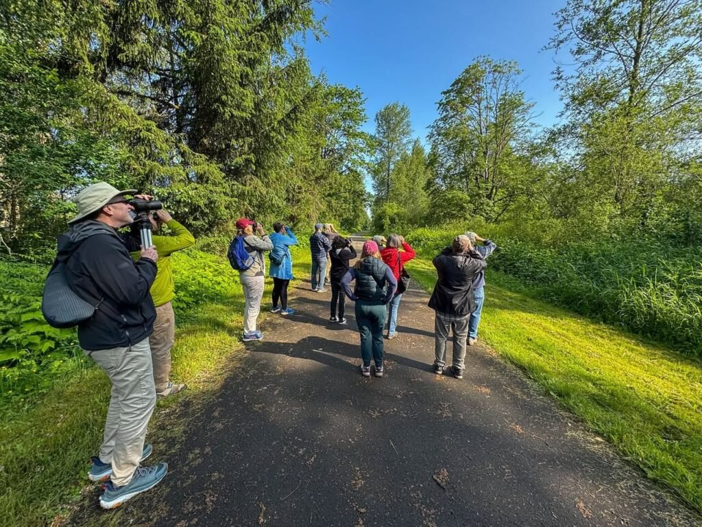 A group of people walks along a forest path, some equipped with cameras, set against lush green trees and a blue sky.