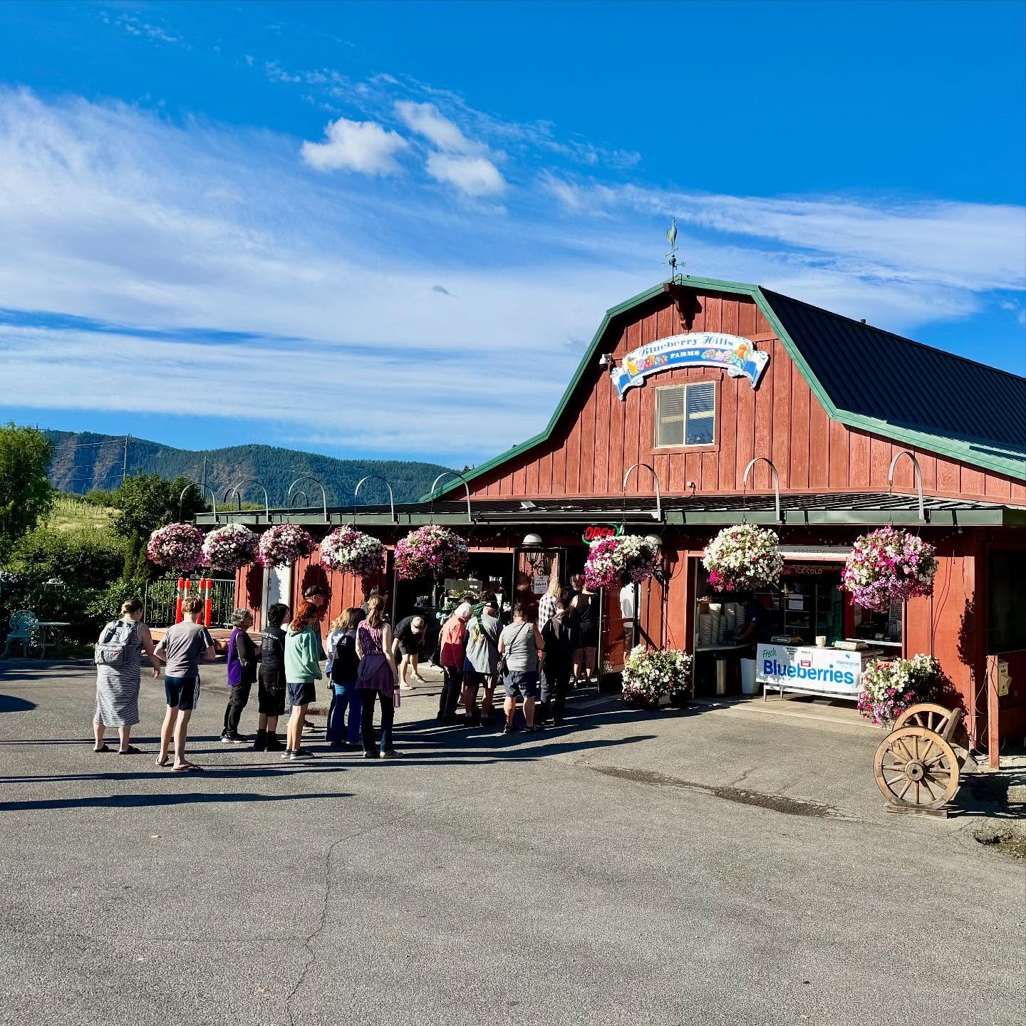 Blueberry Hills A red barn-style building with a green roof, featuring flower baskets and a group of visitors, set against a backdrop of rolling hills under a blue sky.