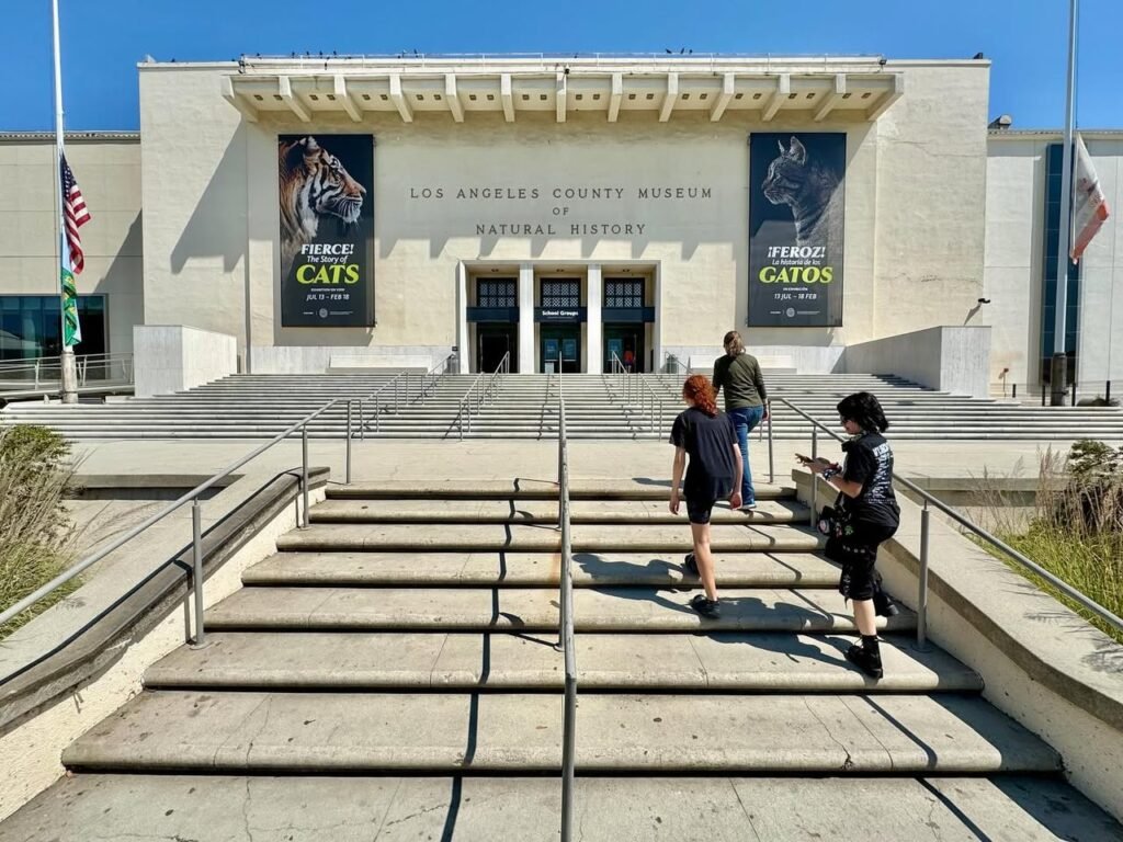 Visitors walking up the steps of the Los Angeles County Museum of Natural History entrance under a clear blue sky.