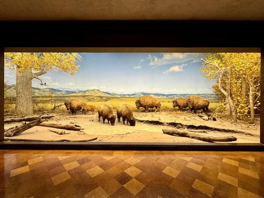 A realistic wide-format mural depicting a herd of bison grazing in an autumn landscape with mountains and trees. The artwork is displayed on a wall above a checkered tile floor.