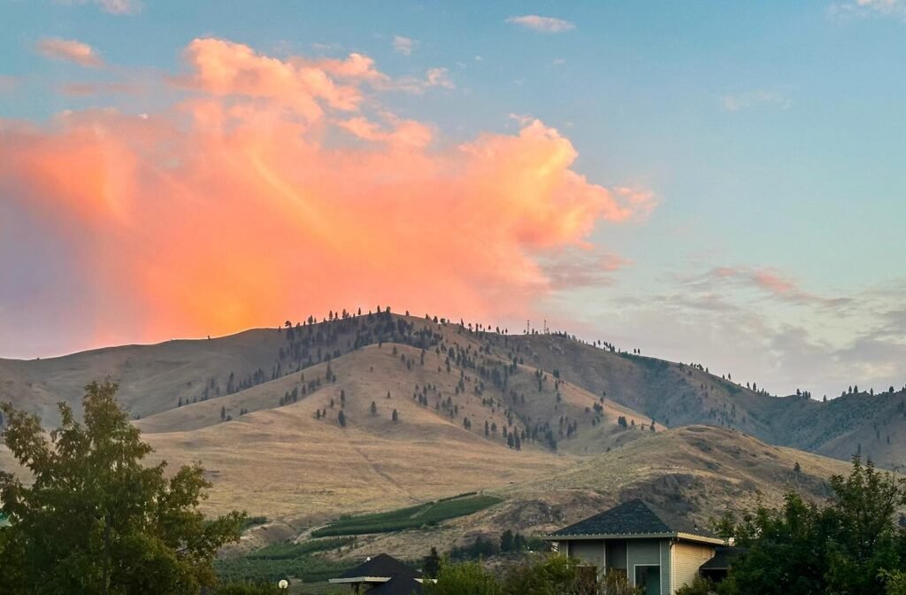 A scenic view of a mountain hill with trees at dusk under colorful pink and orange clouds.