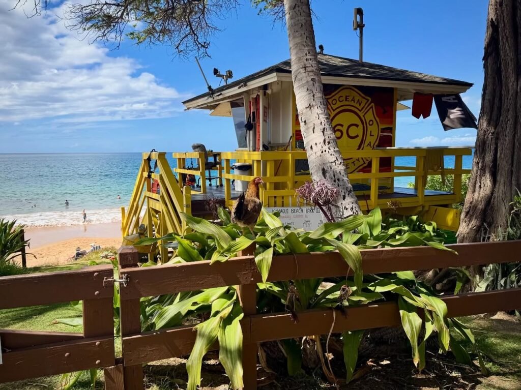 Bright yellow coastal watchtower overlooking a sandy beach and clear blue ocean, with a wooden fence and lush greenery in the foreground.
