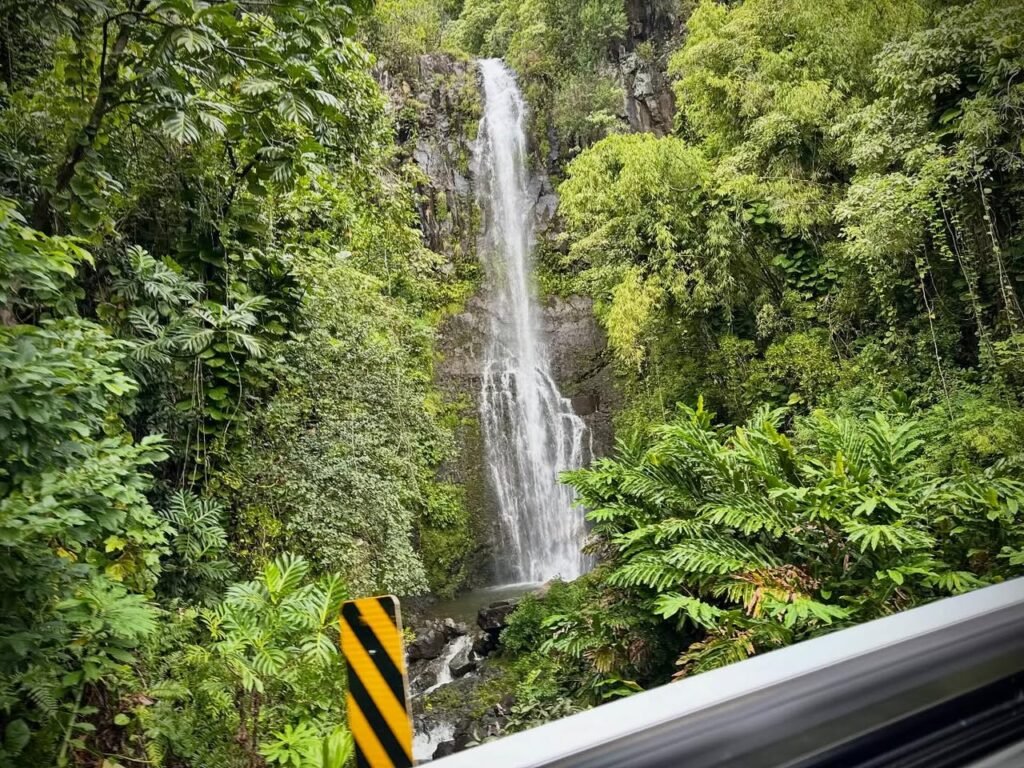 A waterfall surrounded by dense tropical vegetation with a black-and-white striped marker on the roadside.
