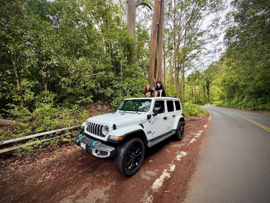 A white Jeep parked on a forest road beside towering redwood trees.