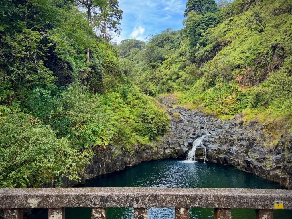 A lush green bamboo forest in Hawaii. A hidden waterfall cascades into a deep natural pool.