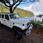 Pipiwai Trail & Waimoku Falls A white Jeep parked on a gravel pullout overlooking a lush coastal landscape.