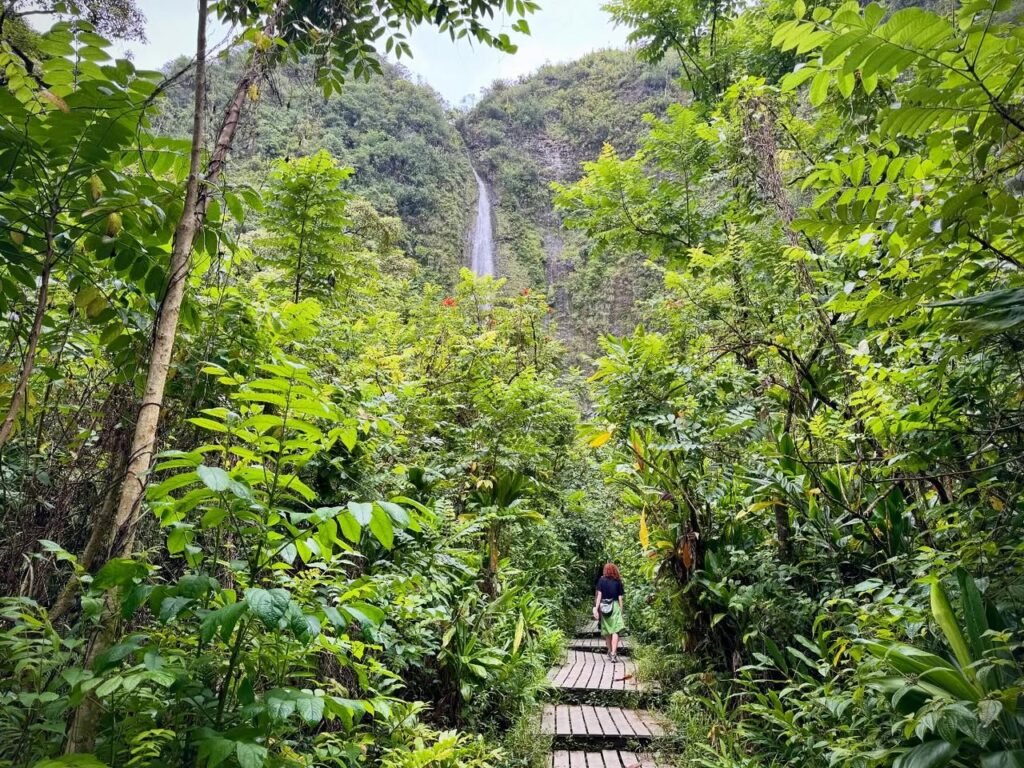 A wooden boardwalk winds through dense tropical foliage toward a distant waterfall hidden among lush greenery.