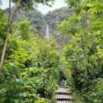 Black Rock, Maui A wooden boardwalk winds through dense tropical foliage toward a distant waterfall hidden among lush greenery.