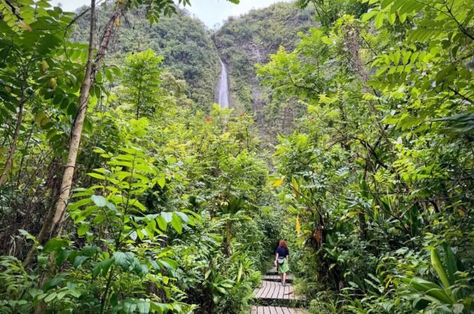 A wooden boardwalk winds through dense tropical foliage toward a distant waterfall hidden among lush greenery.