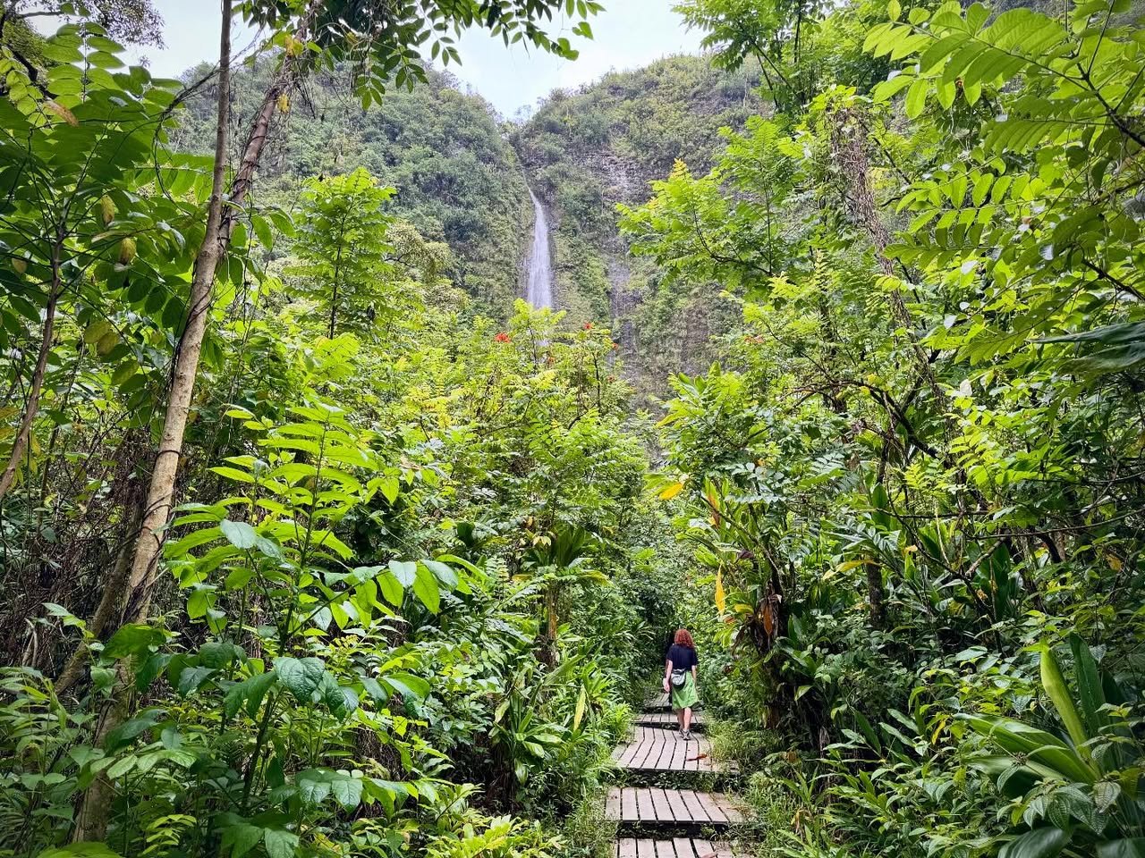 Pipiwai Trail & Waimoku Falls A wooden boardwalk winds through dense tropical foliage toward a distant waterfall hidden among lush greenery.