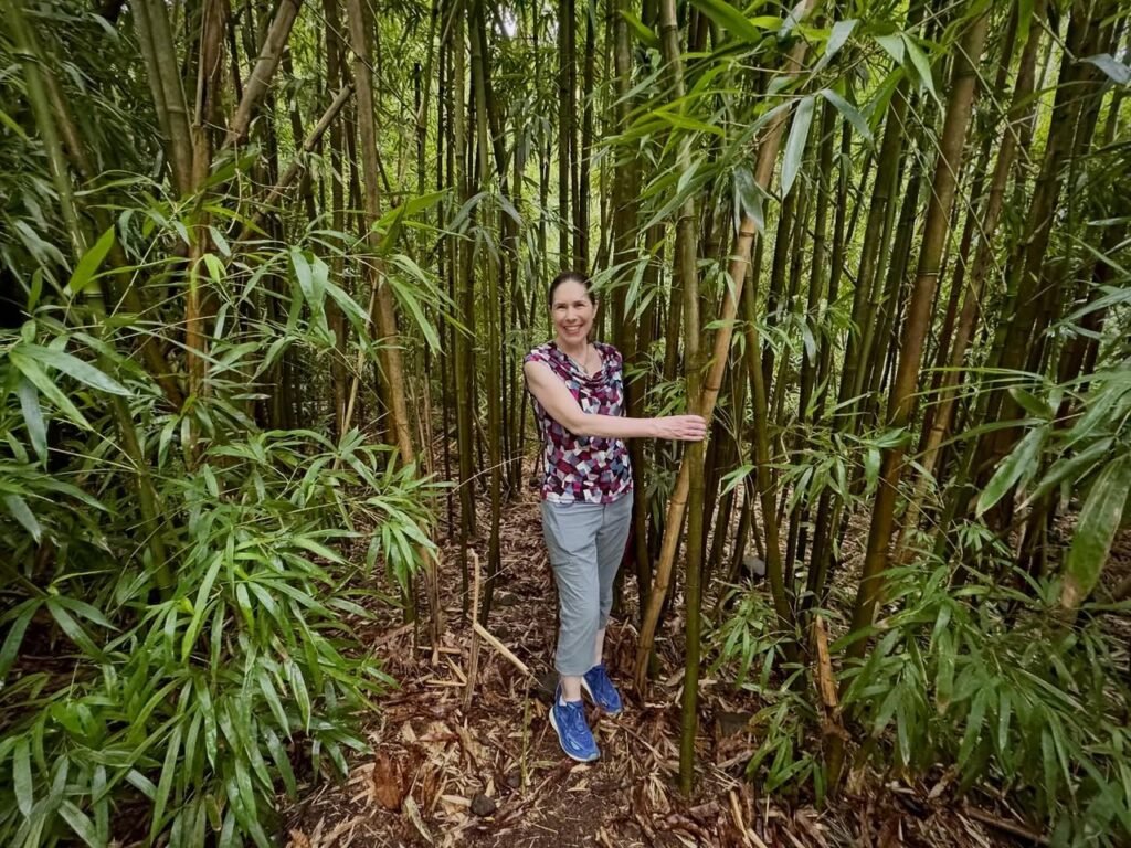 A person stands among tall bamboo stalks with lush green leaves on a forest floor. Captured during a nature walk in a dense grove.