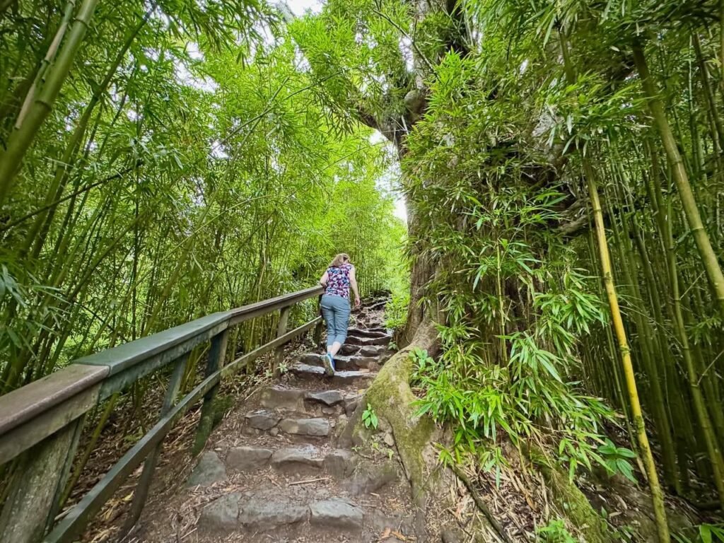 A hiker climbs moss-covered stone steps in a dense bamboo forest. The path is lined with lush green vegetation and wooden railings.