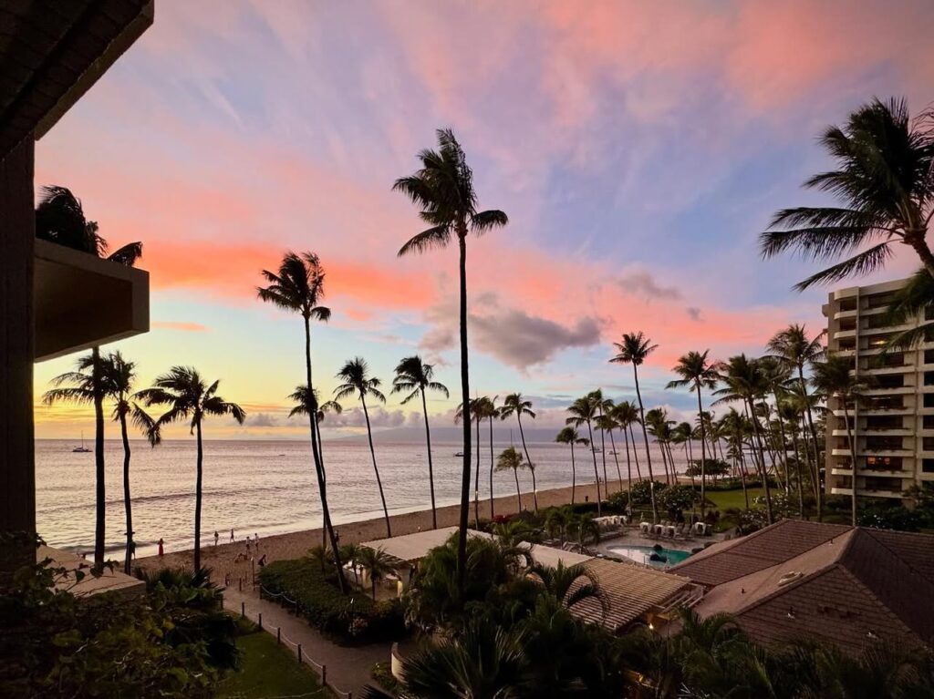 A series of photos showing a tropical beach at sunset with silhouetted palm trees and colorful sky.